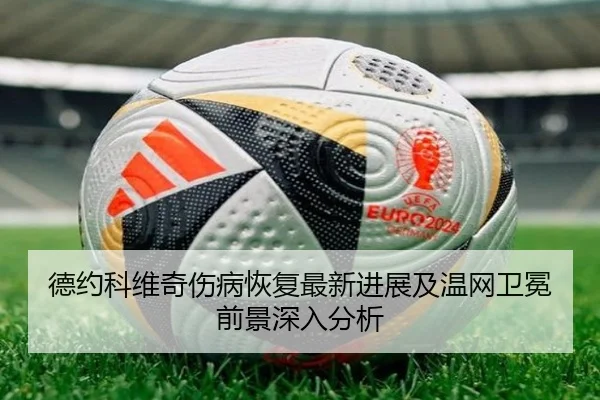 德约科维奇伤病恢复最新进展及温网卫冕前景深入分析